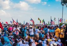 Arraigados en Cristo JMJ