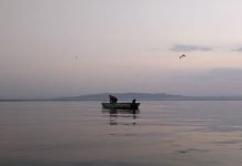 El camino de la belleza Pescadores