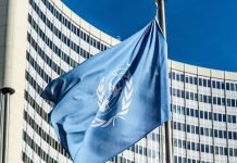 La ONU: ¿Quién anda por ahí detrás…? ONU