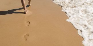 Secularidad: Laicos en Marcha Huellas
