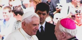 Gracias Papa Benedicto XVI