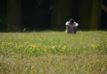 Hágase rico en una semana Vida en el campo