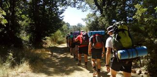 En camino… En camino