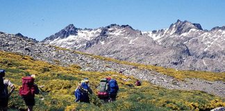 La alegría de anunciar el Evangelio 1984 Campamento