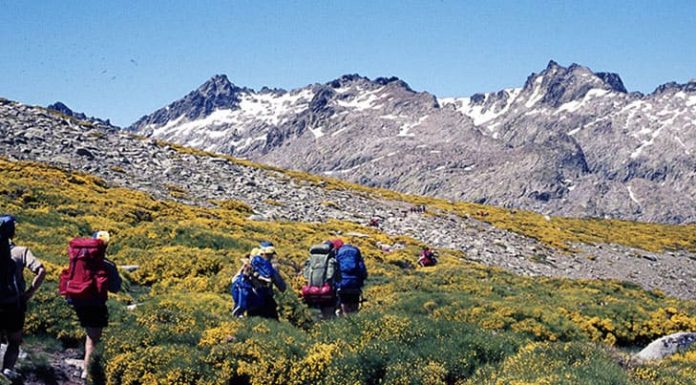 La alegría de anunciar el Evangelio 1984 Campamento