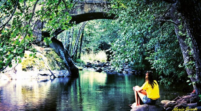 A gustar la belleza, se aprende Contemplar la Naturaleza