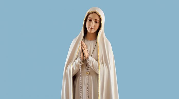 Dios no pierde nunca las riendas de la historia Nuestra señora de Fátima