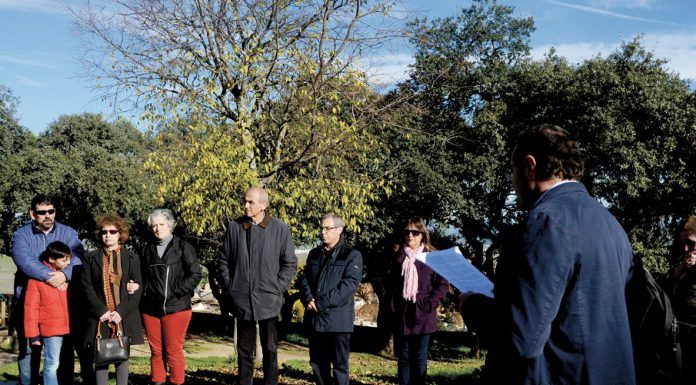 El Cáceres del P. Morales El Cáceres del P. Morales