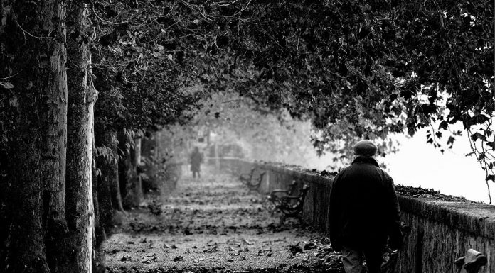 Ante el suicidio demográfico, ¿cómo recuperar el sentido de la vida? Foto: Adriano Cantarello