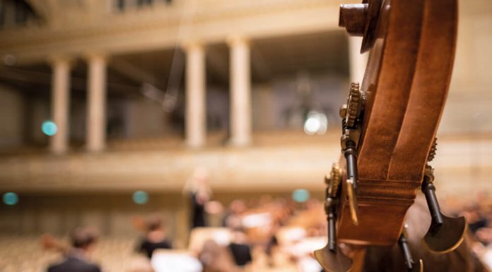El lenguaje la música y el silencio Foto: Manuel Nageli