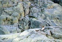 Érase una vez… Campamento circo de Gredos 1986